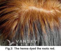 250825112036_Hair-Dying with henna-s.jpg